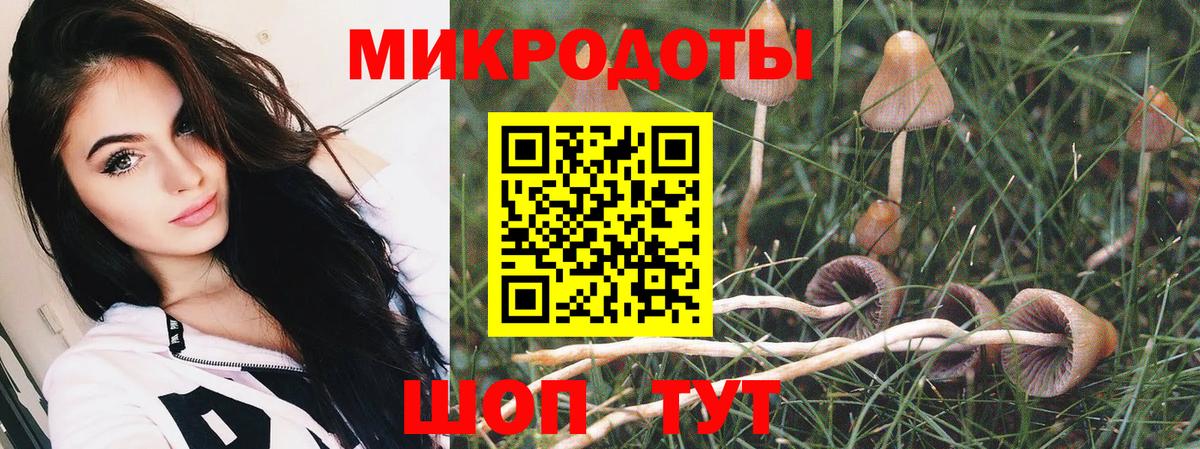 Галлюциногенные грибы MAGIC MUSHROOMS Рязань